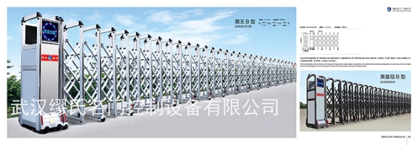 霸王B型電動(dòng)伸縮門
